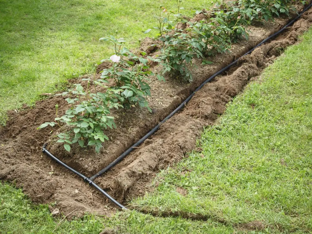 Como instalar irrigação de jardim: maneiras de instalar sistemas de irrigação