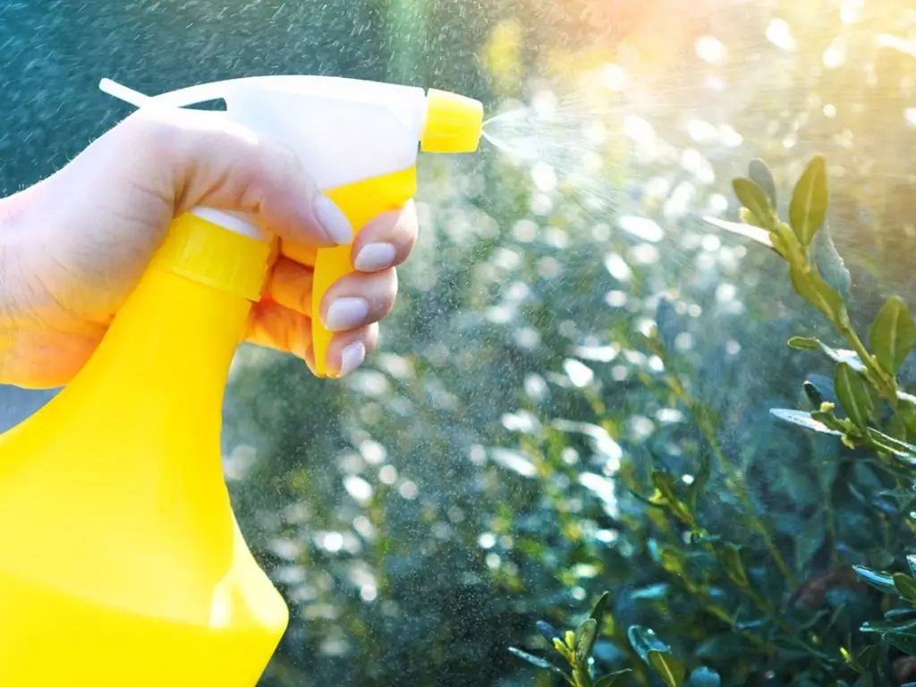 Pesticides pour jardins d'intérieur : Pesticides sans danger pour les aliments pour les plantes d'intérieur