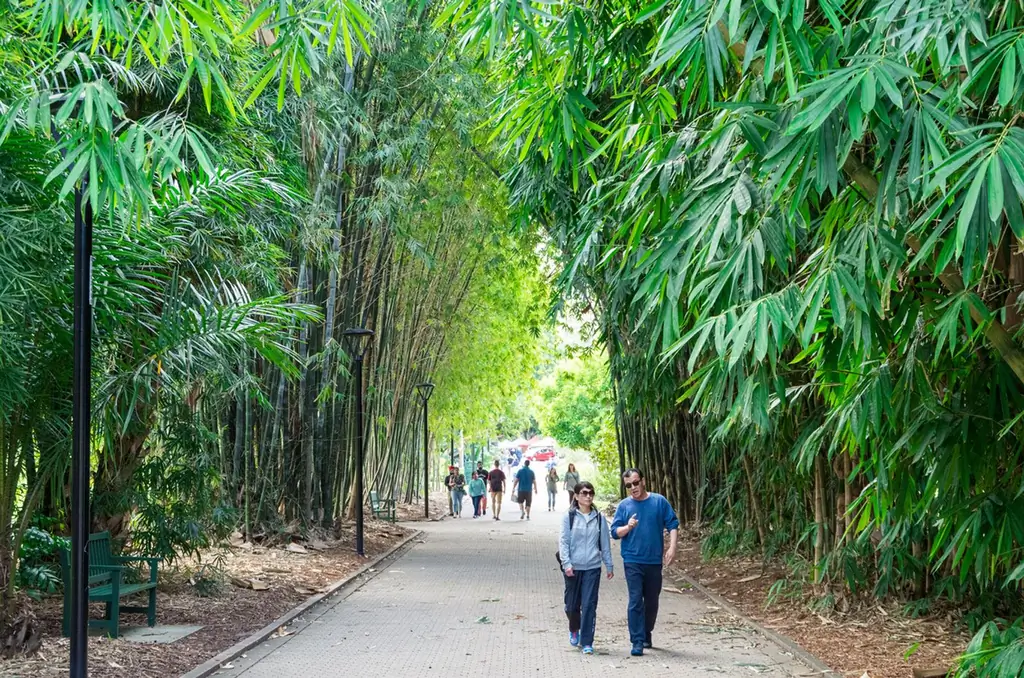 Choses à faire dans les jardins botaniques - En savoir plus sur les activités dans un jardin botanique