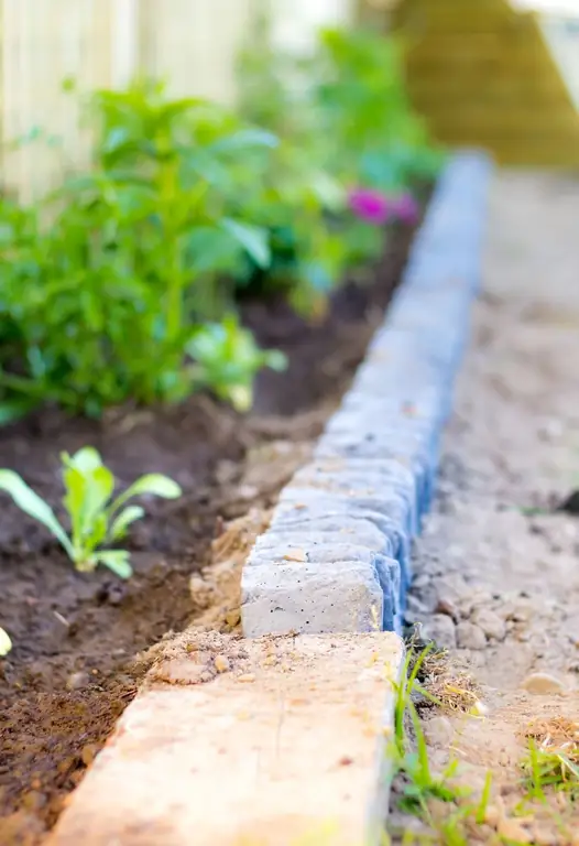 Idees de vores de jardí de roques: com revestir el vostre jardí amb pedres