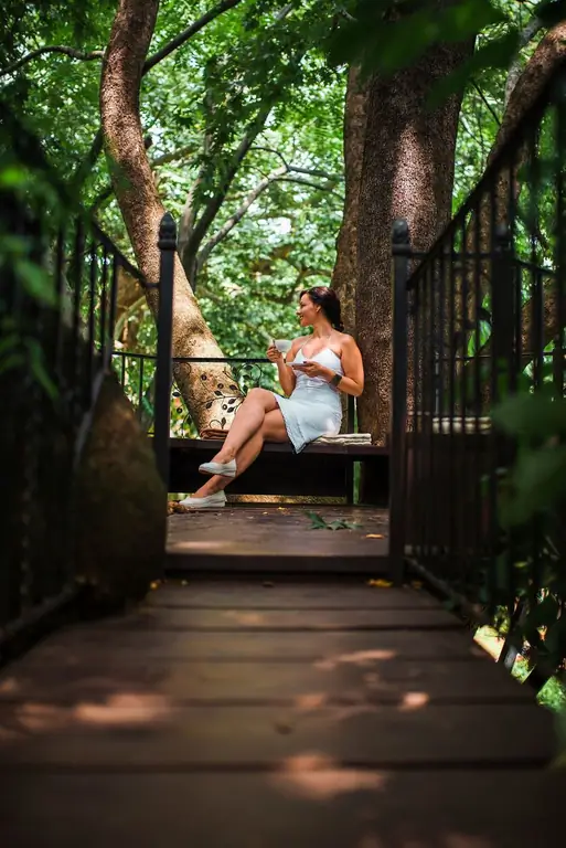 Idées de cabanes dans les arbres pour adultes – Comment faire une cabane dans les arbres pour adultes pour votre jardin