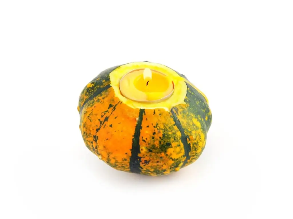 Grow Your Own Centerpiece: Gourd Candle Holder How-to