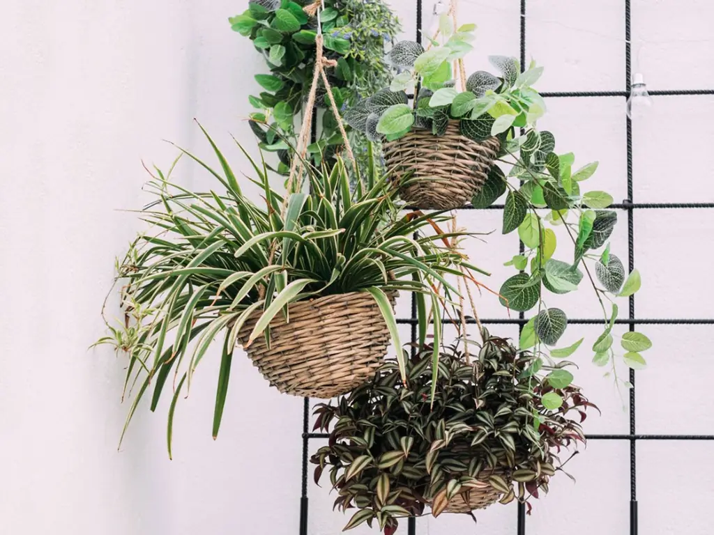 DIY Basket Planter Tips – So stellen Sie Ihren eigenen Korbpflanzer her