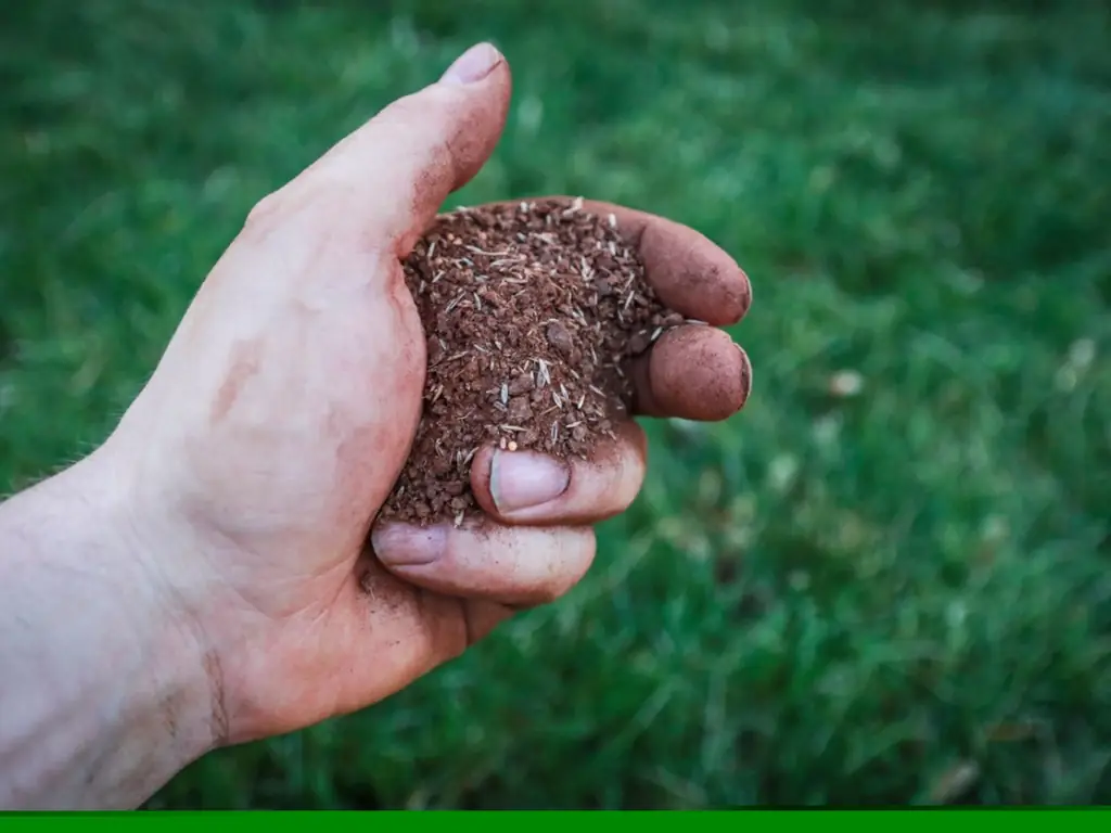 Tipy na dosévanie trávnika – kedy a ako trávnik presekávať